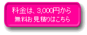�����́A3,000�~����@���������ς���͂�����