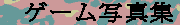 �Q�[���ʐ^�W