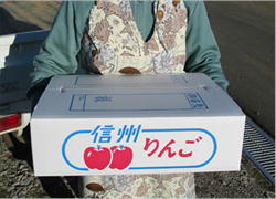 りんご５キロ箱（一段箱）